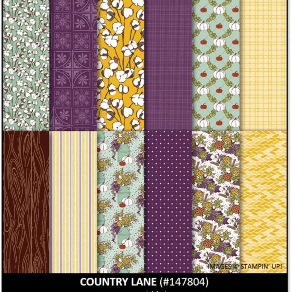 STAMPIN UP Country Lane DSP 12x12 - retired